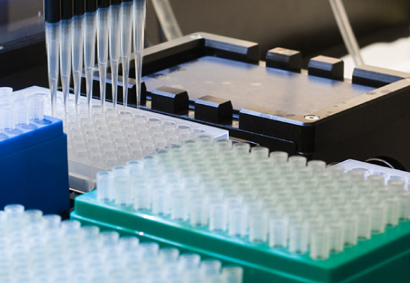 video-library NEB�̹���