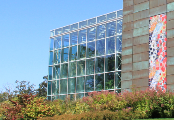 catalogs NEB�̹���